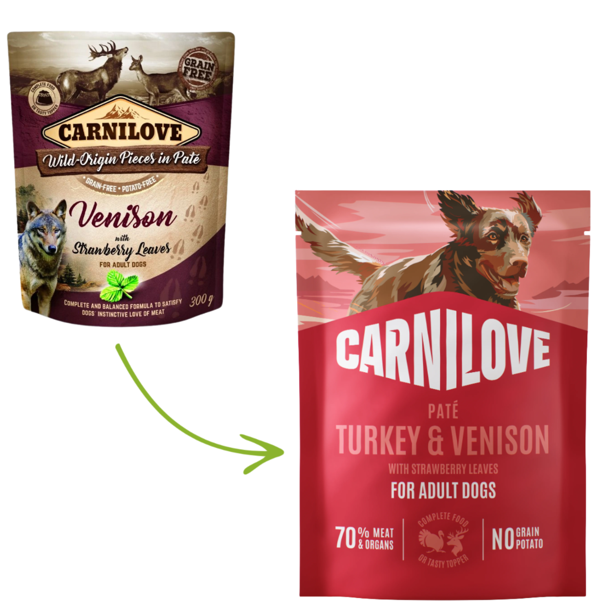 Turkey & Venison with Strawberry Leaves Dog POUCH Paté 300g