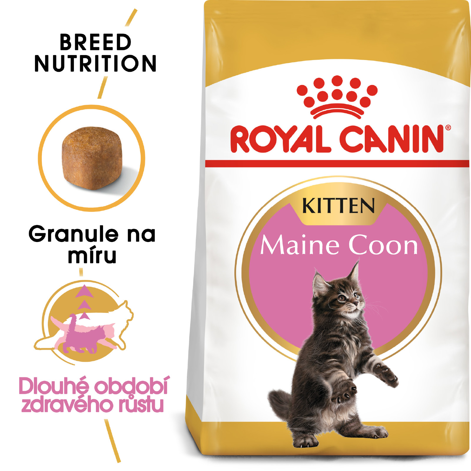 Royal Canin cat KITTEN MAIN COON - 400g