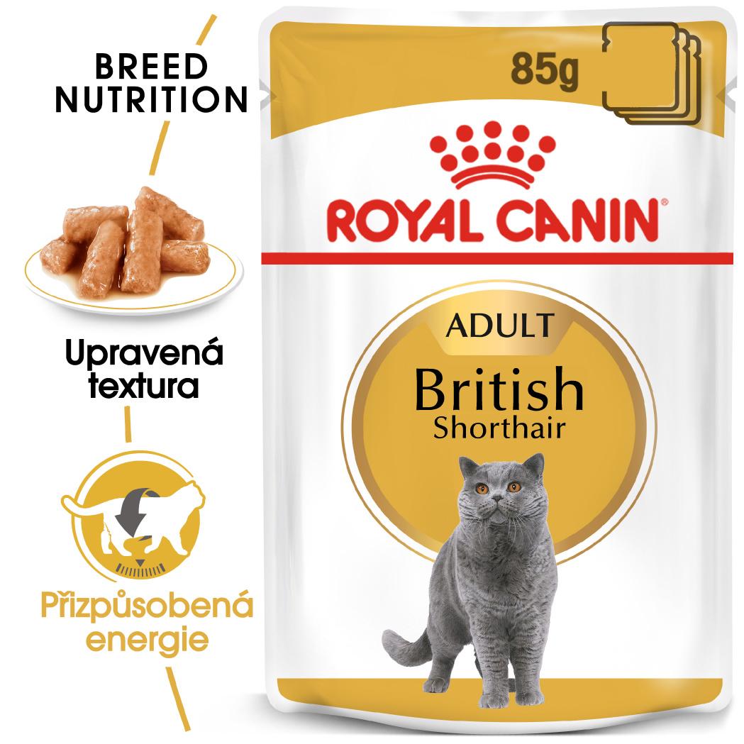 Royal Canin British Shorthair Gravy - kapsička pre britské krátkosrsté mačky v šťave - 85g
