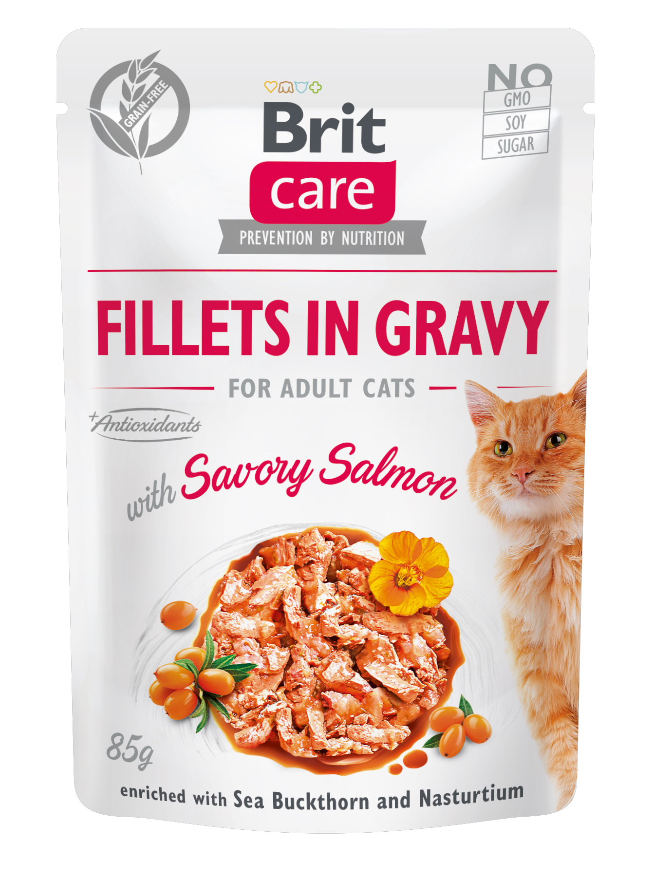 BRIT CARE cat kapsa ADULT SAVORY salmon - 1x85g