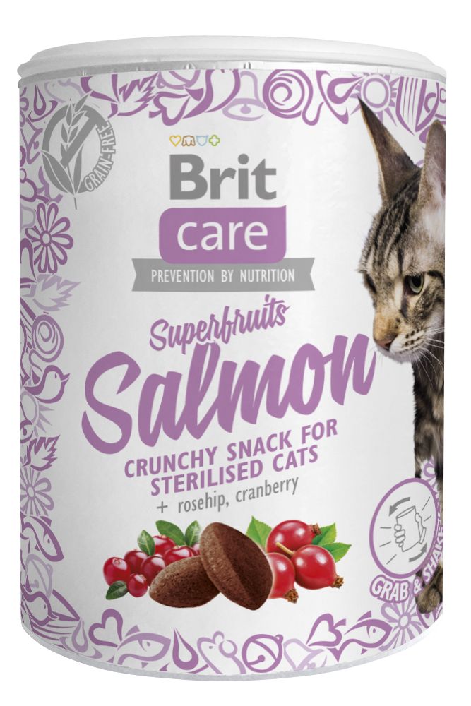 BRIT CARE cat SNACK SUPERFRUITS SALMON - 100g