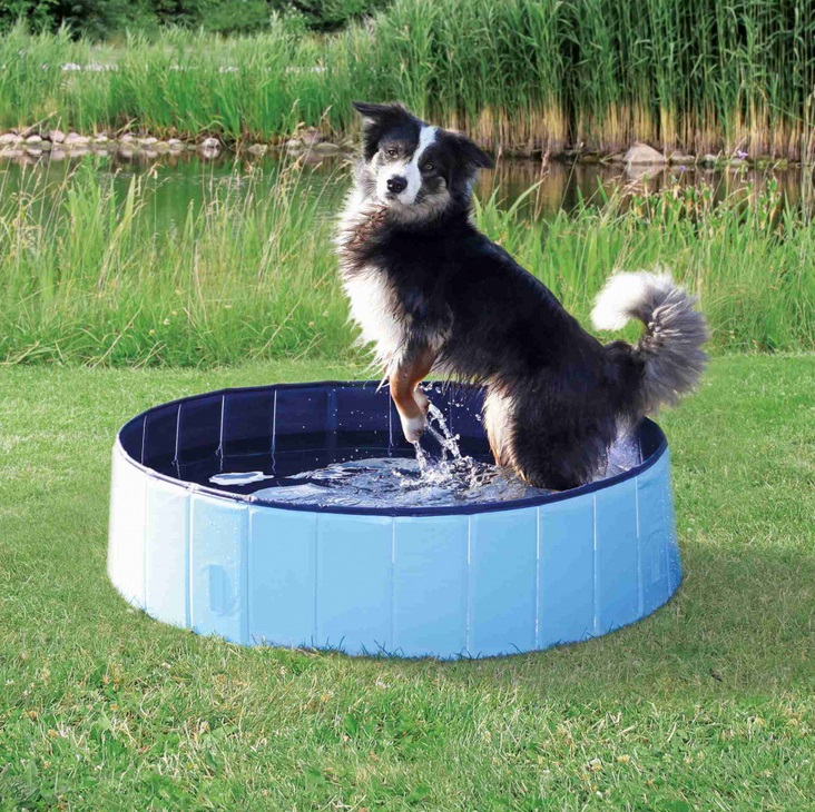 Trixie dog BAZÉN pre psov / modrý - 160x30cm
